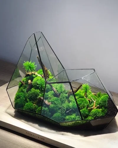 Micro Landscape Glass Vase Rainforest Terrarium Moss Planter Eco Vase Home Decor Geometric Glass Flower Room Hydroponic Vase